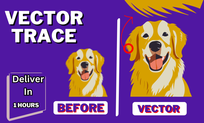 Gig Preview - Do vector trace from and design to ai, psd, svg, png etc