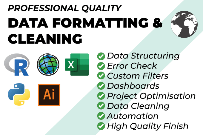 Gig Preview - Clean and format your data