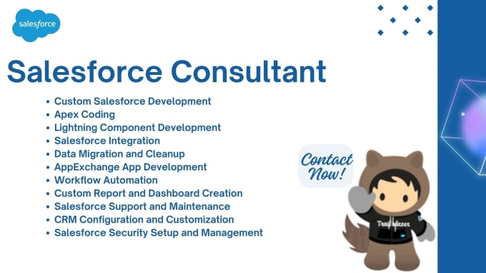 Gig Preview - Be your salesforce developer, administrator and consultant