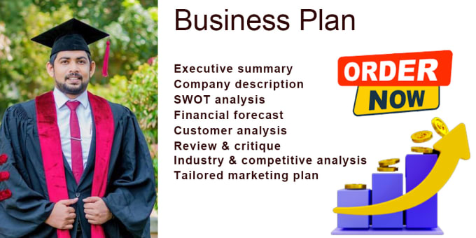 Gig Preview - Craft a business plan with strategic marketing and financial model