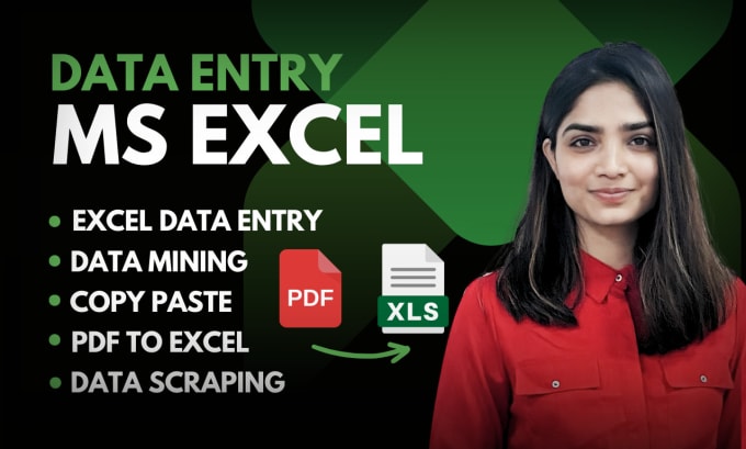 Gig Preview - Do excel data entry, pdf to excel, copy paste, data mining, web research