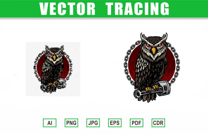 Gig Preview - Do vector tracing , redraw or sketch any image or logo