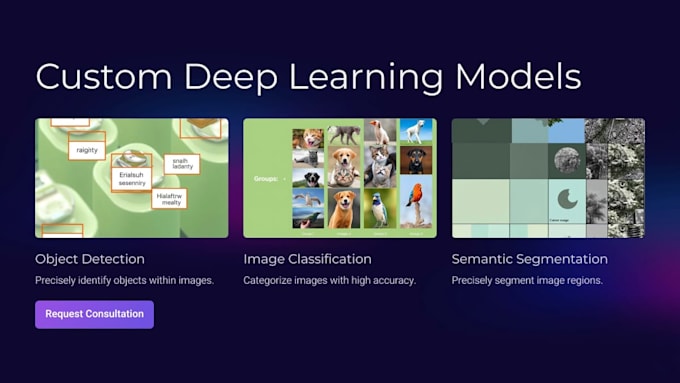 Gig Preview - Custom deep learning models for ai solutions