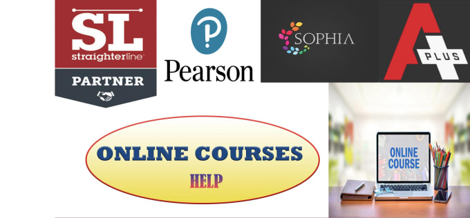 Bestseller - tutor you in d2l brightspace tasks and courses