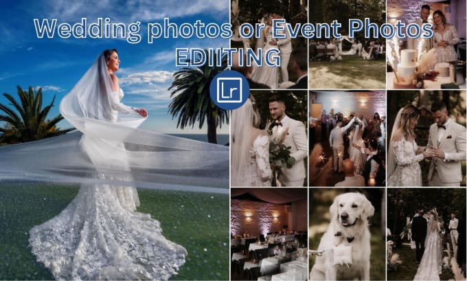 Gig Preview - Do wedding photos or event photos culling and lightroom editing