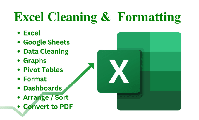 Gig Preview - Clean, format, edit spreadsheets and create dashboards