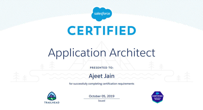 Gig Preview - Provide expert salesforce architecture consultation