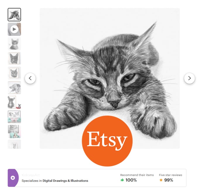 Gig Preview - Do professional pet portraits for your esty or amazon shop