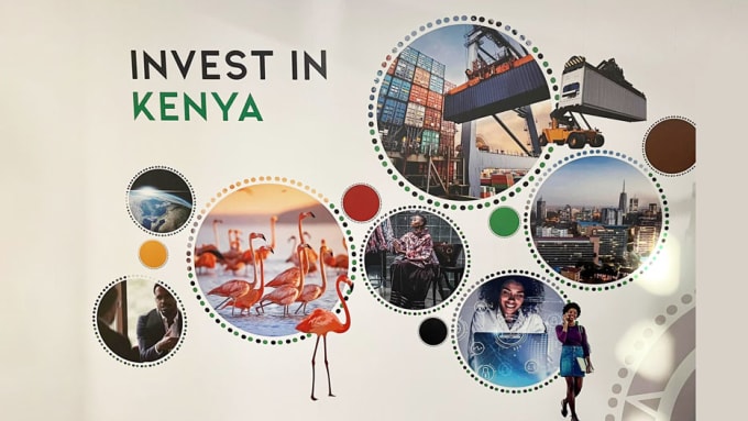 Gig Preview - Guide you in setting up investments in kenya