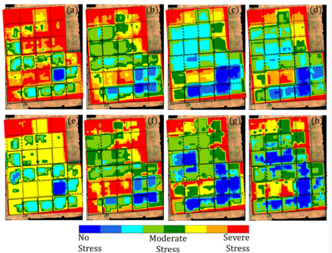 Gig Preview - Map stressed crops using drone or satellite images