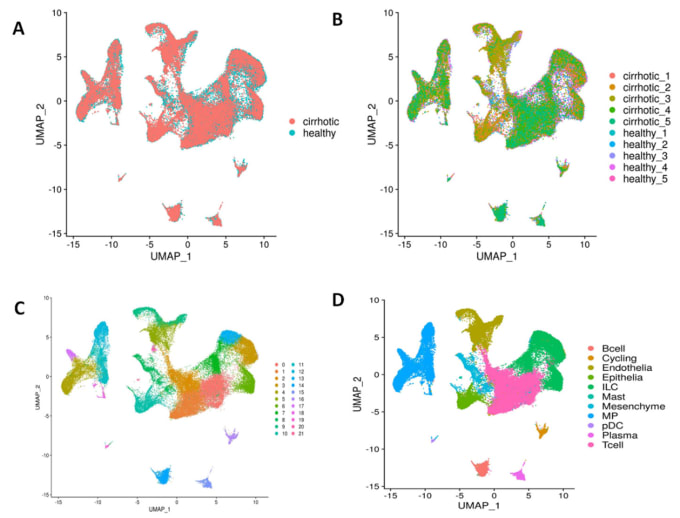 Bestseller - analyze single cell rna sequencing data scrna seq