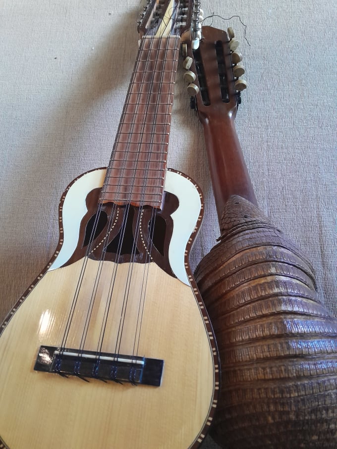 Gig Preview - Play and record charango for you