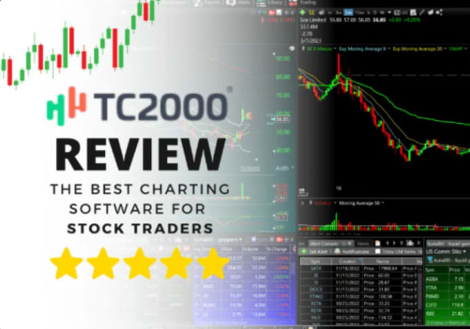 Gig Preview - Create custom coded tc2000 stock screener