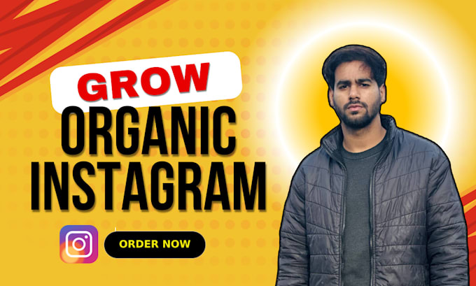 Gig Preview - Do super fast organic instagram growth