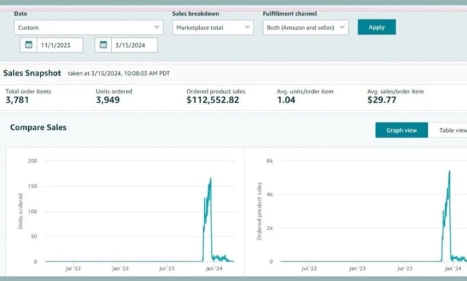 Gig Preview - Manage facebook ig amazon yt google ads conversions ROI audience targeted