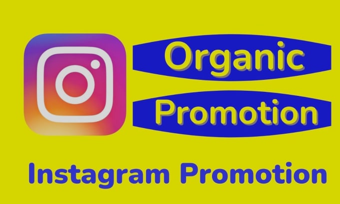 Gig Preview - Do super fast instagram organic growth, promotion and marketing