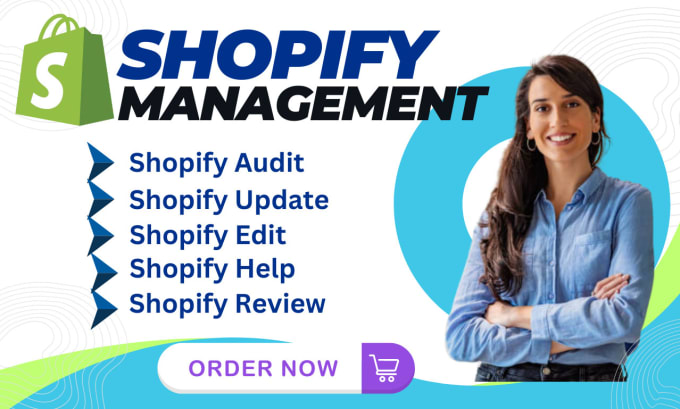 Gig Preview - Update, audit, edit, help and review your shopify store