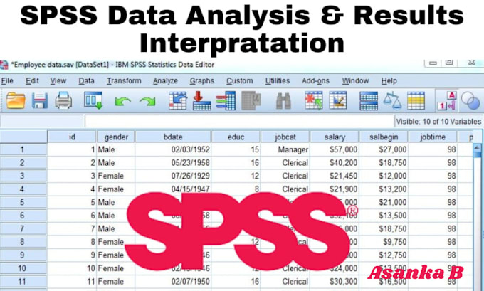 Gig Preview - Do spss statistical data analysis with interpretation