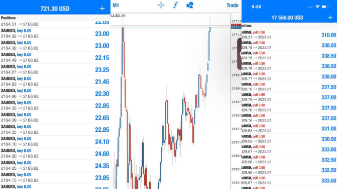 Gig Preview - Be your forex trading mentor, forex analysis from basic to advance