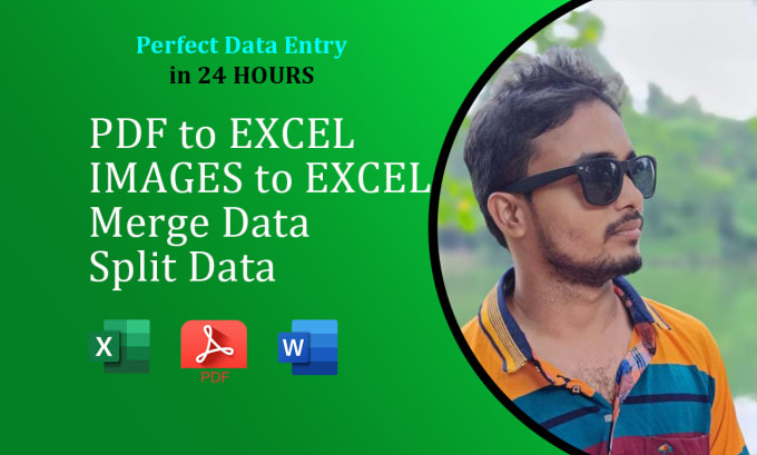 Gig Preview - Convert PDF to excel, images to excel, merge and split data