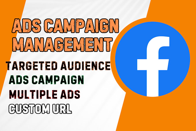 Gig Preview - Do create and manage facebook ads campaign and fb marketing