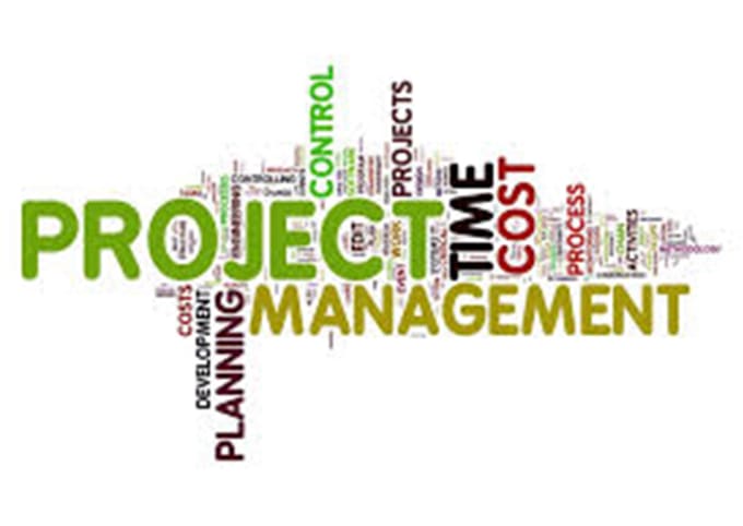 Gig Preview - Provide expert project management services for your project