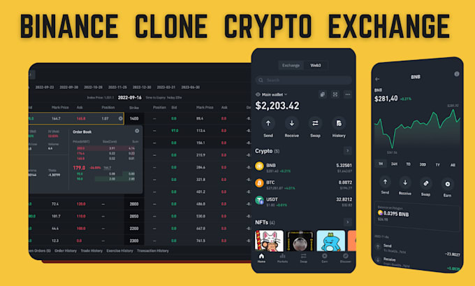 Gig Preview - Develop binance clone crypto exchange