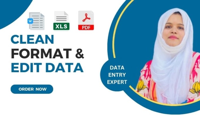 Gig Preview - Clean organize edit and format your desired data