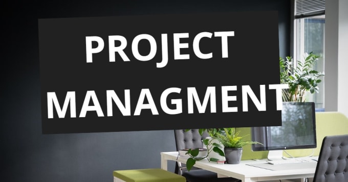 Gig Preview - Do expert project management jobs