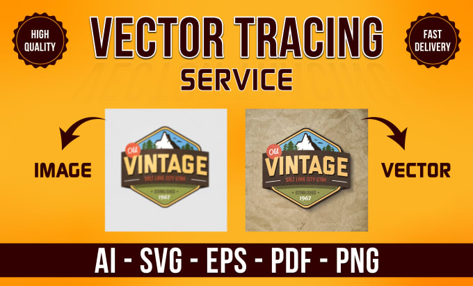 Gig Preview - Perfectly trace logo or image in vector