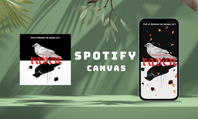 Gig Preview - Professionally create your spotify canvas