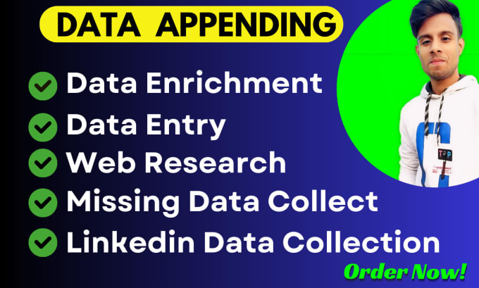 Gig Preview - Do  data appending enrichment and data entry job