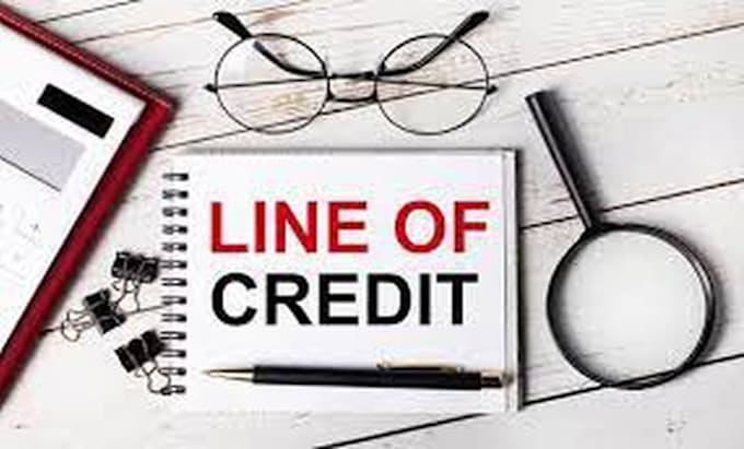 Gig Preview - Build and improve business credit lines  for your loans