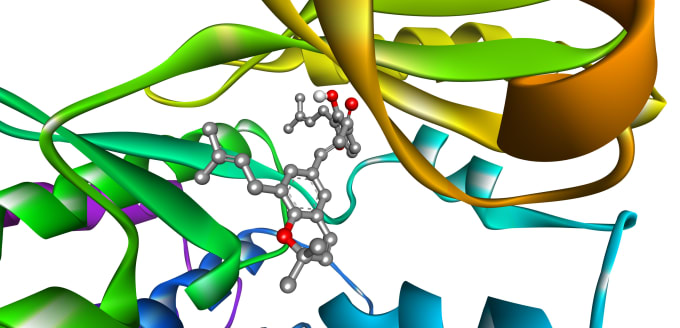 Gig Preview - Do docking for protein and ligands