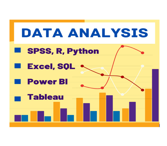 Gig Preview - Do data analysis using spss, r, python, excel, sql, power bi, tableau etc