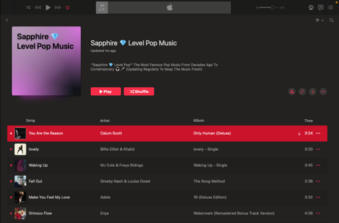 Gig Preview - Add your pop single track on curated apple music playlist