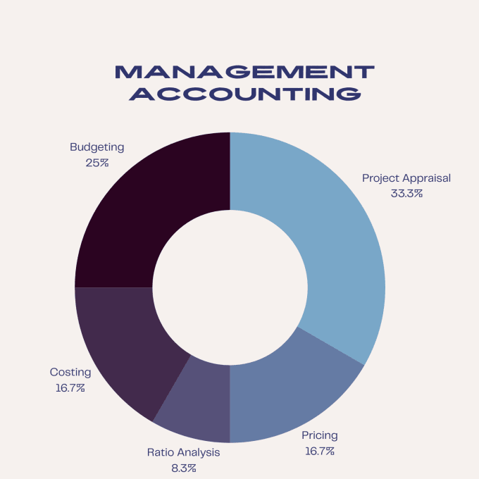 Gig Preview - Be your financial and management accounting tutor