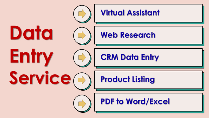 Gig Preview - Do data entry service