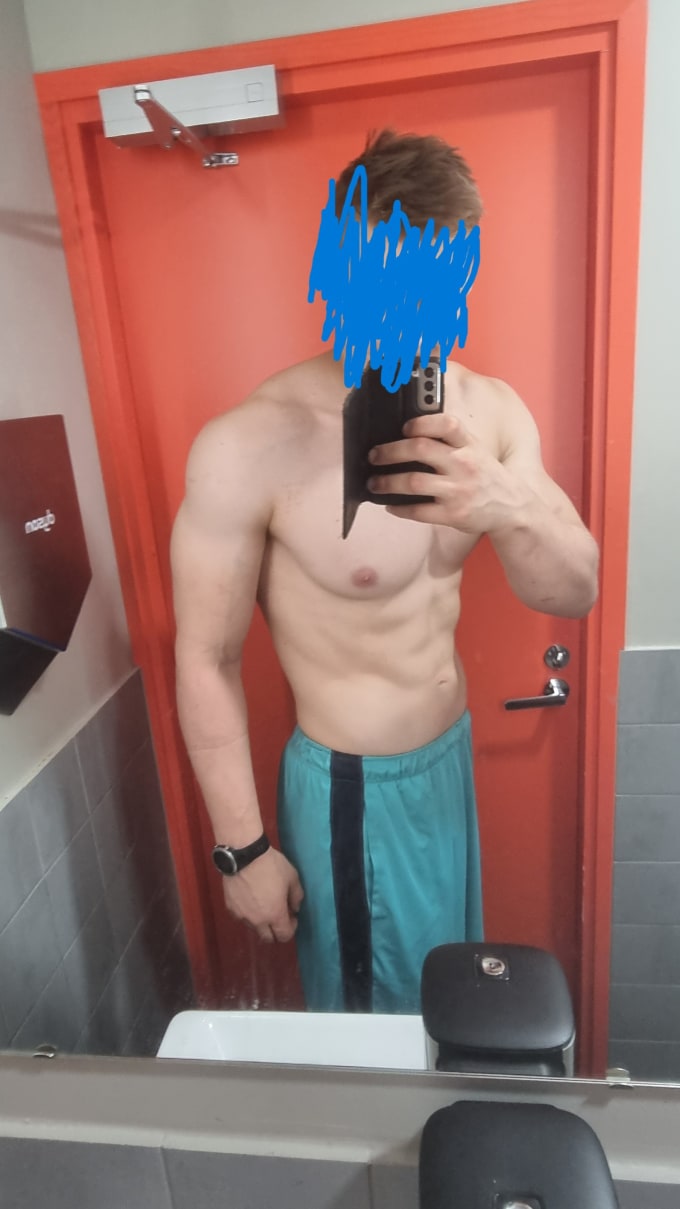 Gig Preview - Do meal plan and training plan for you