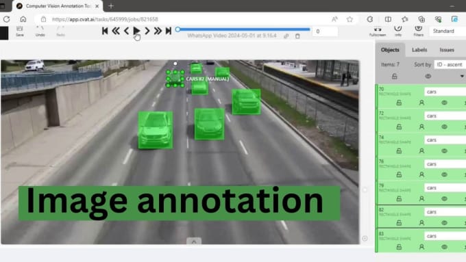 Gig Preview - Do data annotation, video annotation, and image annotation