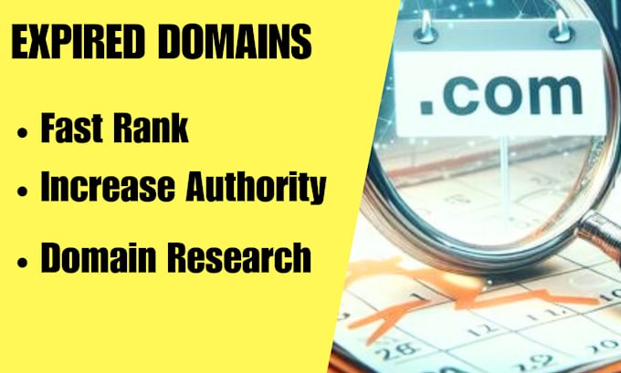 Gig Preview - Expertly unearth top tier expired domains for your SEO success