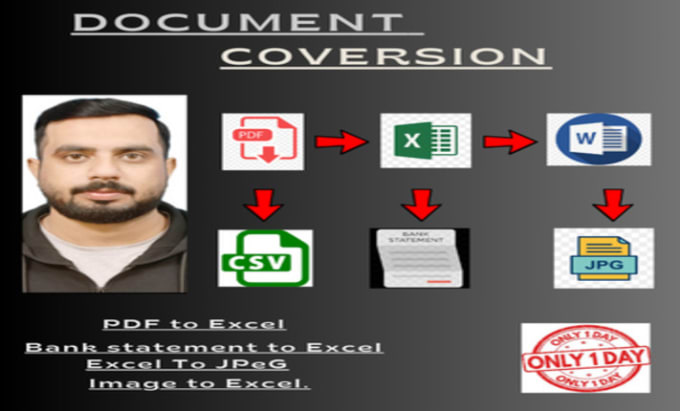 Gig Preview - Convert pdfs to excel, word, jpeg, and retype any document