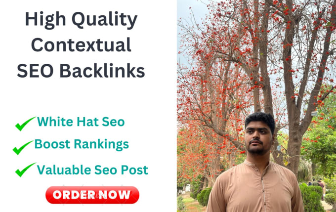 Bestseller - do seo backlinks dofollow high da white hat link building contextual