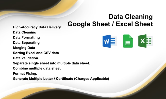 Gig Preview - Clean and oraganize your excel sheets or google sheet