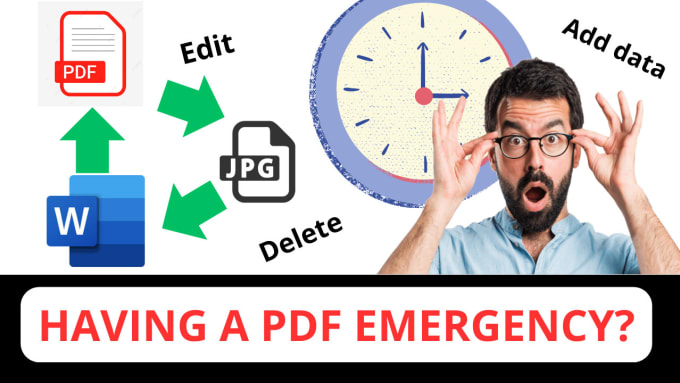 Gig Preview - Solve any PDF emergency