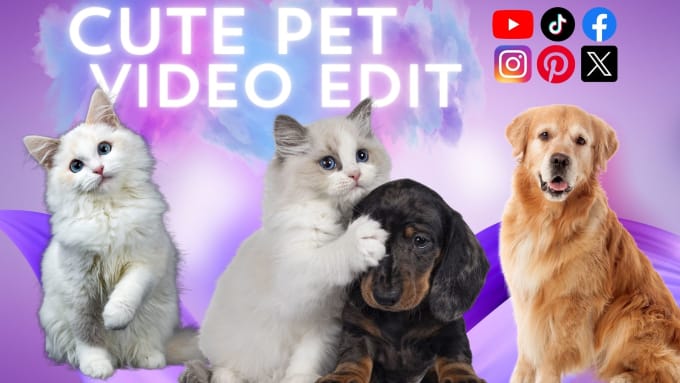 Gig Preview - Edit modern and funny compilation pet videos within 24 hours