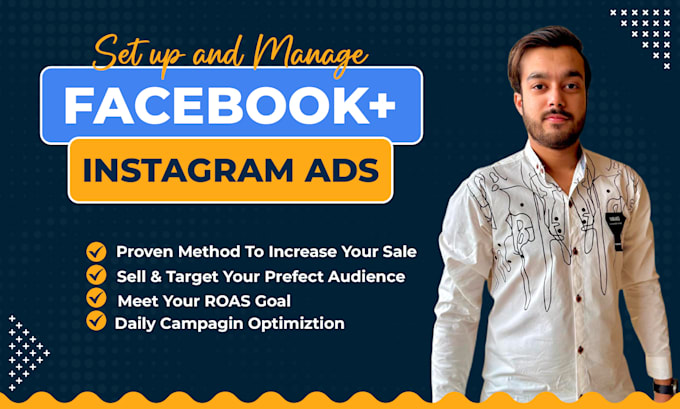 Gig Preview - Set up and manage your facebook and instagram ads campaigns