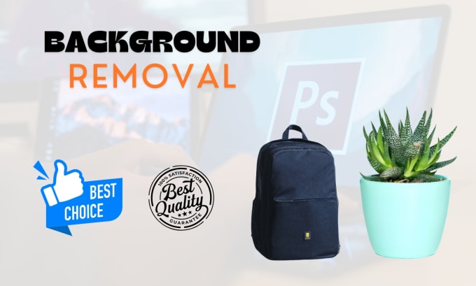 Gig Preview - Do photo background removal and remove object service