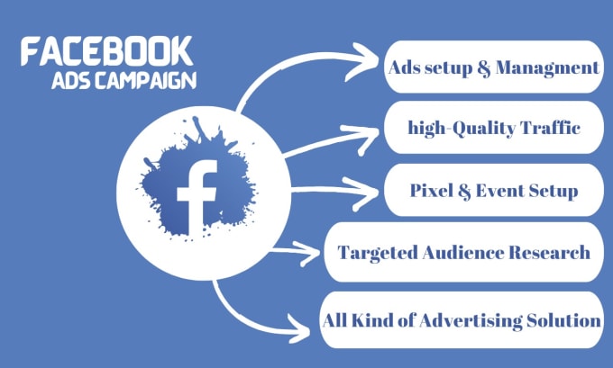 Gig Preview - Drive results with targeted facebook ads campaigns