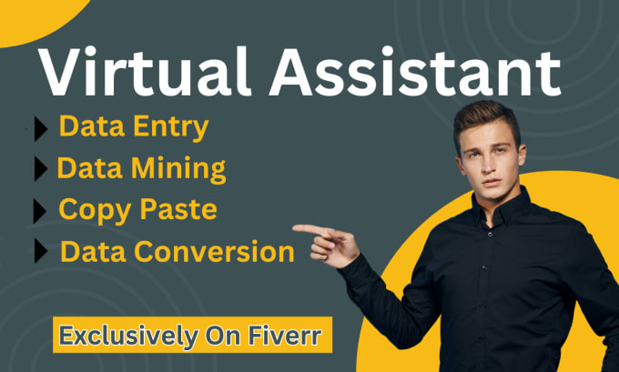 Gig Preview - Be your virtual assistant for data entry, data mining, typing, web research